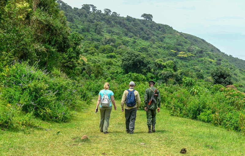 6-days experience comfort adventure