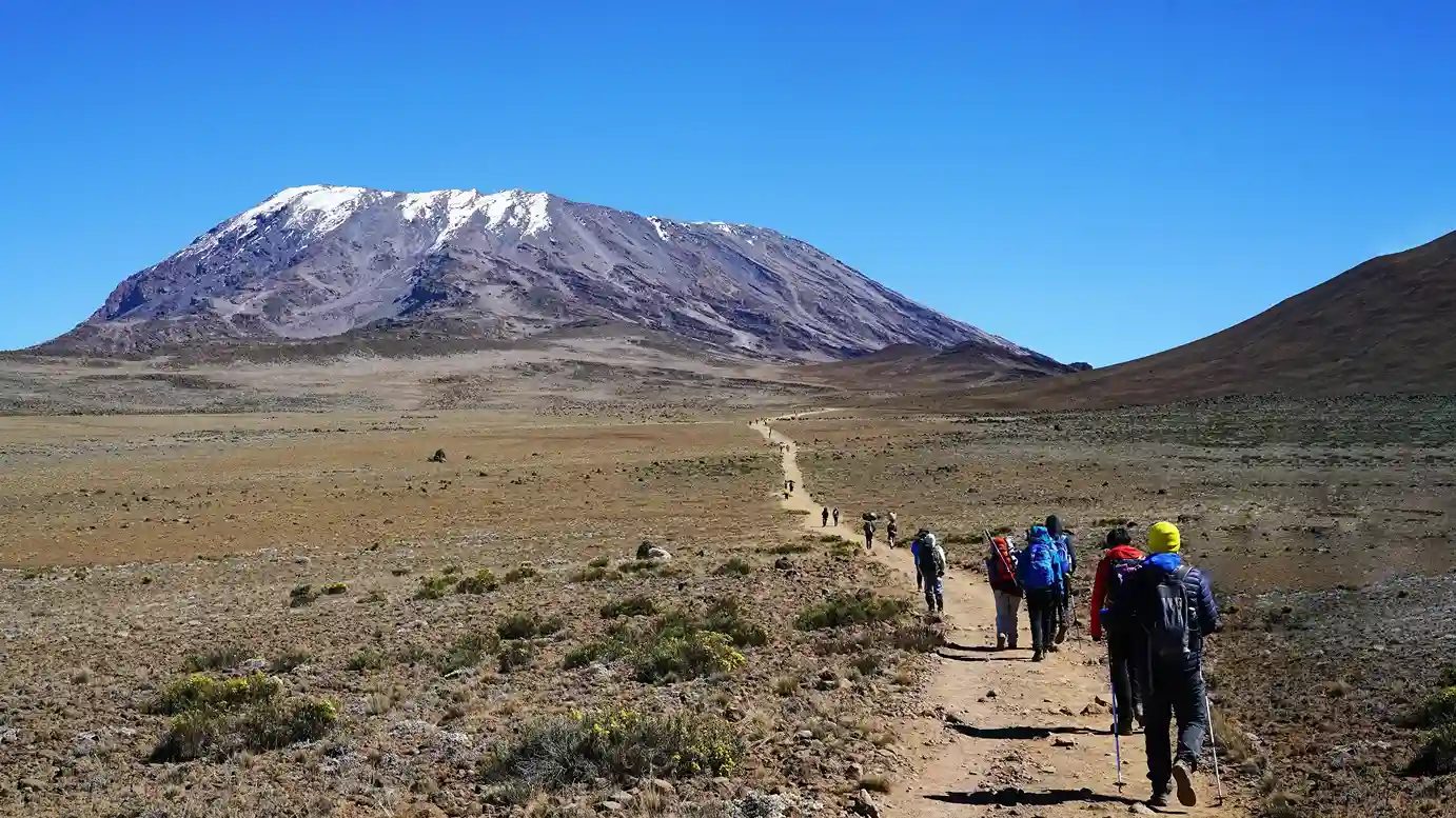 7 days Rongai Route - Kilimanjaro