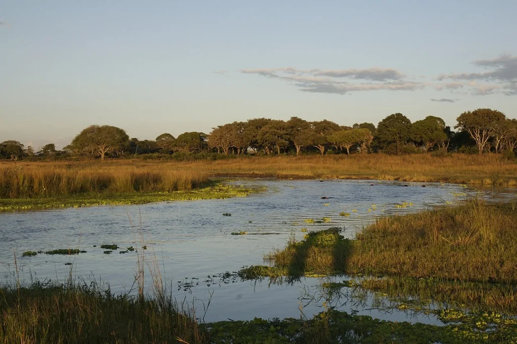 Katavi sunset