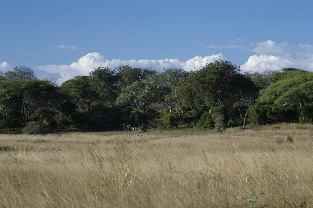 Katavi National Park — Tanzania
