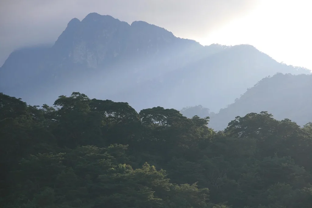 Udzungwa Mountains-2
