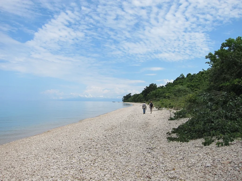 Gombe Stream National Park — Tanzania