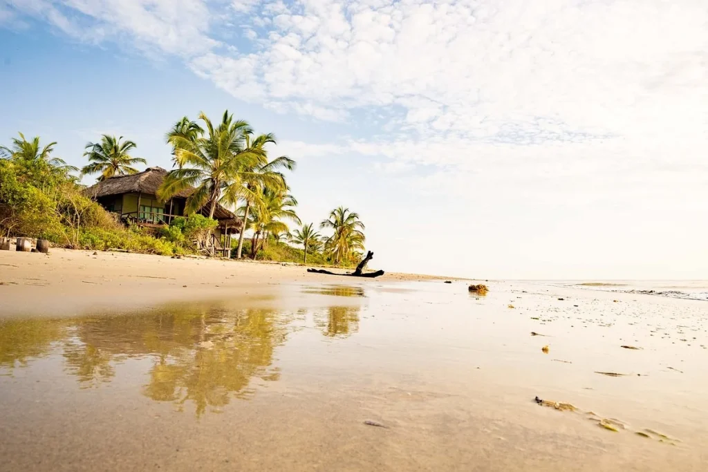 Simply Saadani Camp — Saadani coast