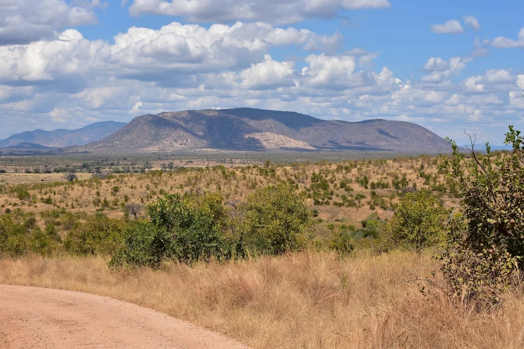 Ruaha National Park landscape (12) (28745370620).jpg