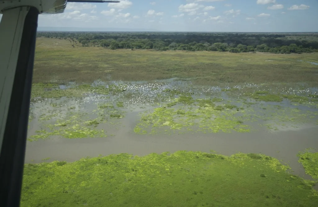 Katavi Aerial.jpg