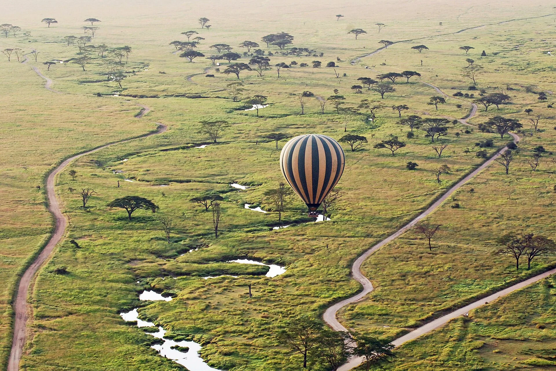 Hot-air balloon safari in the Serengeti
