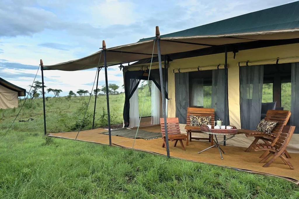 Nyikani Camp – Central Serengeti / Photograph 1