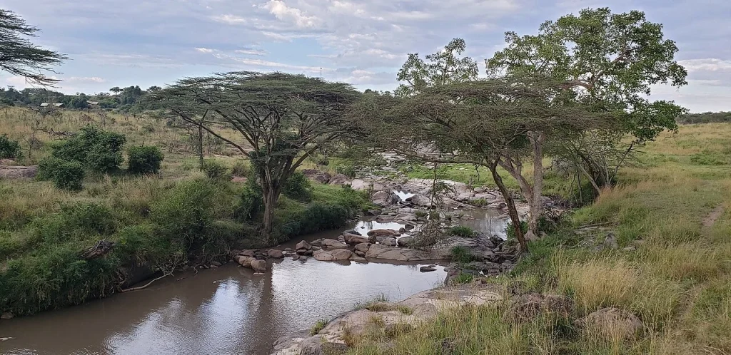 Grumeti River with hippos - Migration Camp