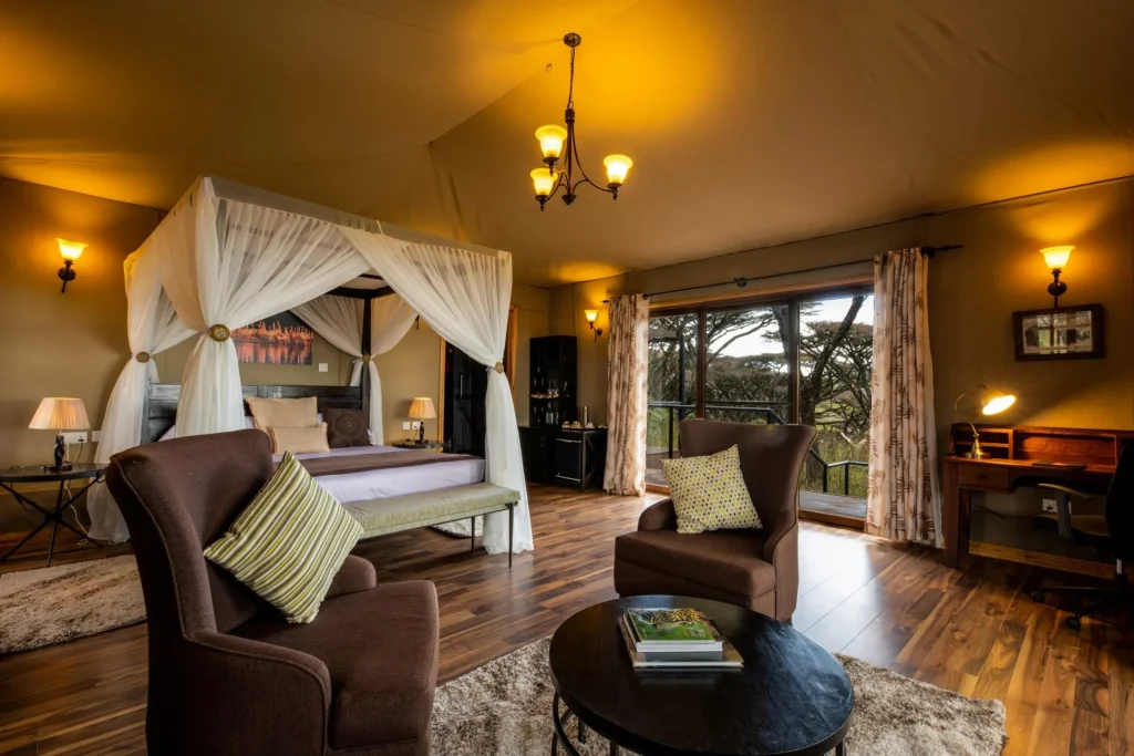 Eileen’s Trees Inn / Photograph 1